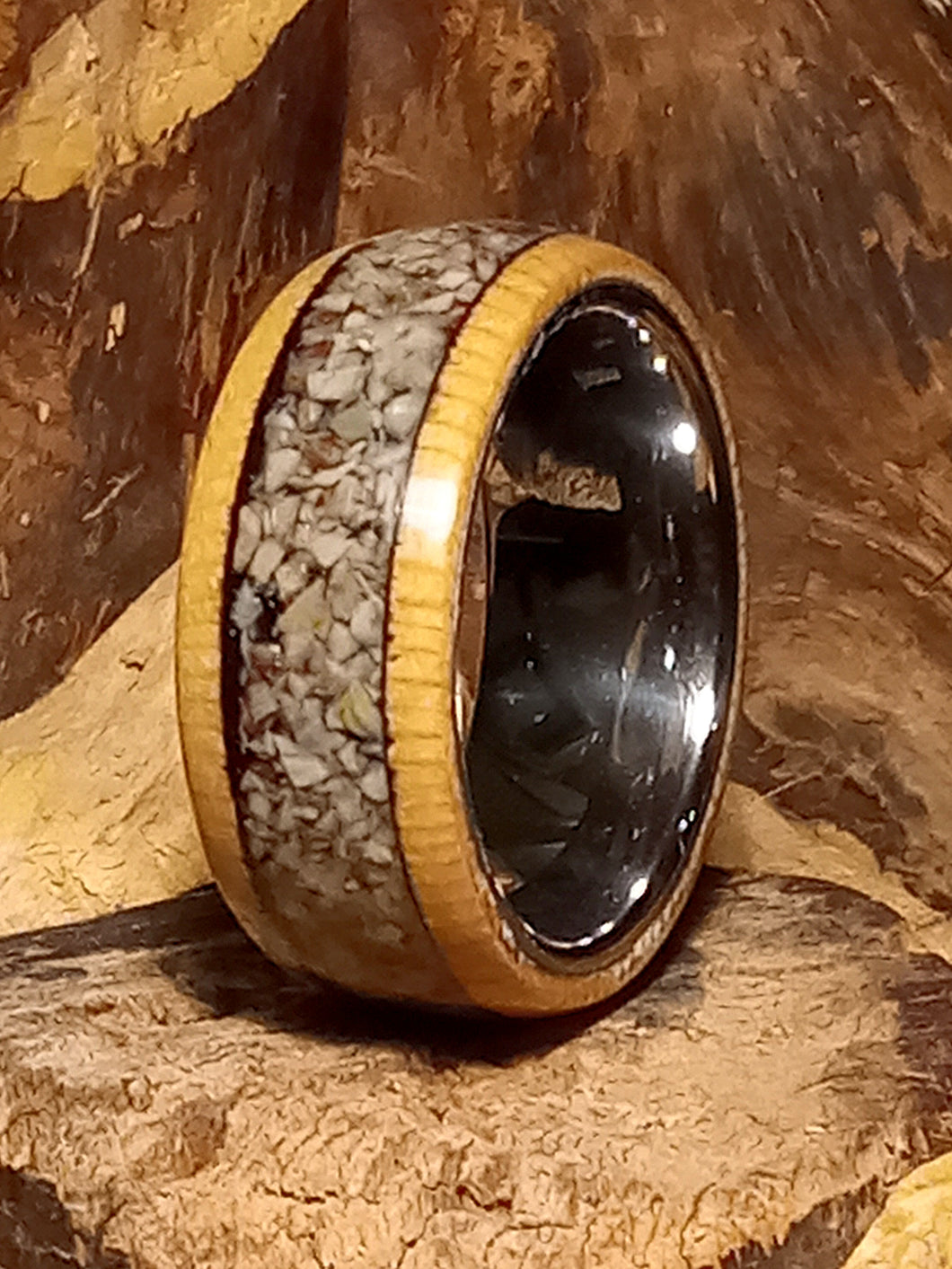 Petrified Wood Beech Bentwood Ring